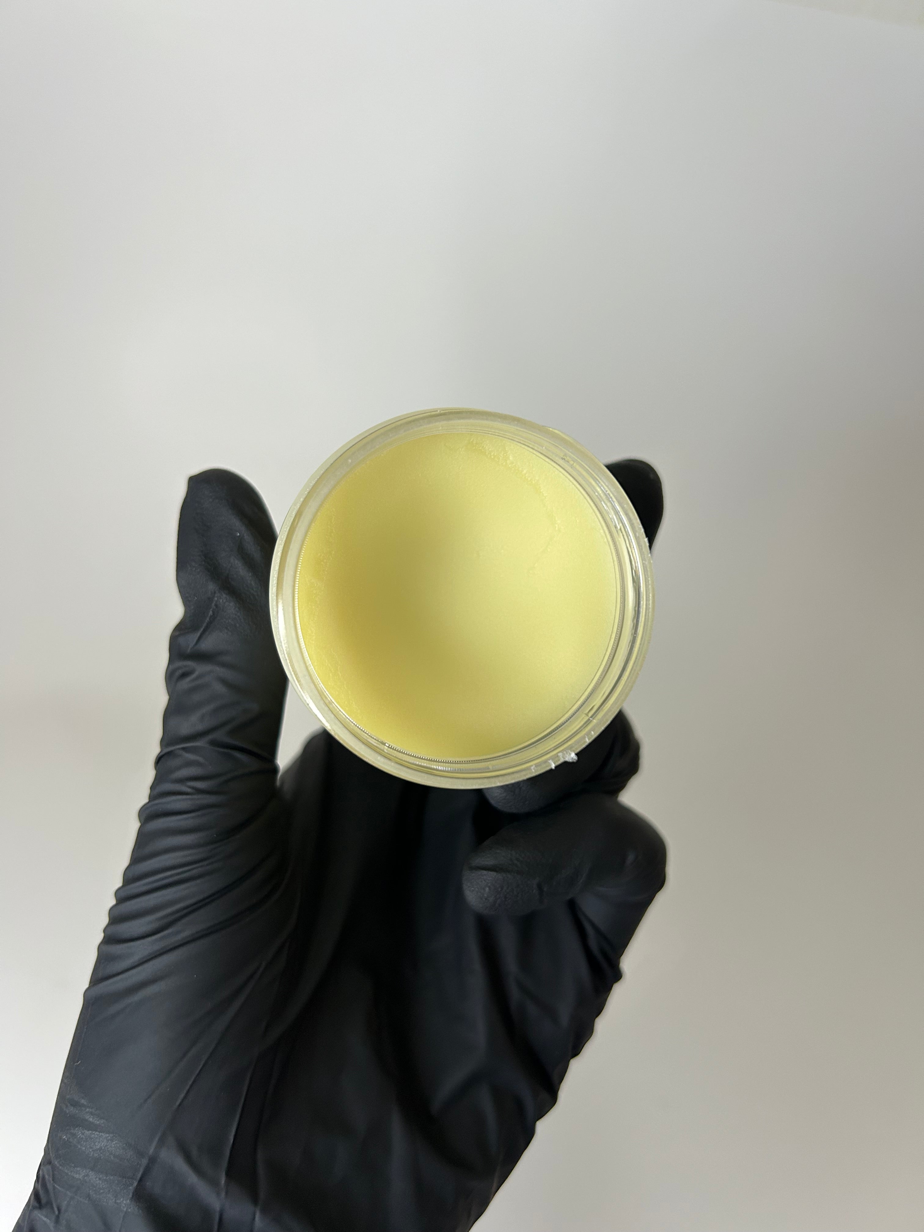 The Simplest Shea Body Butter - Natural - Unscented - 3 Ingredients - 80 Grams