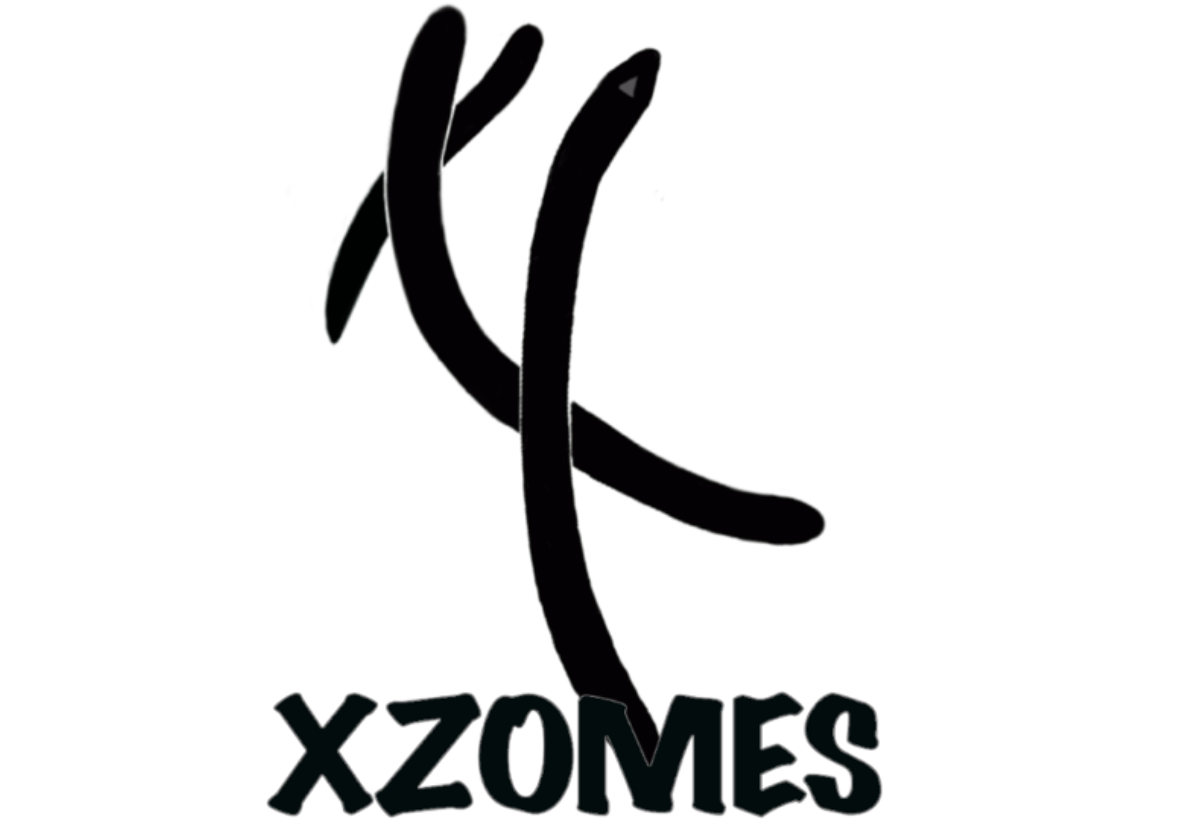 XZOMES